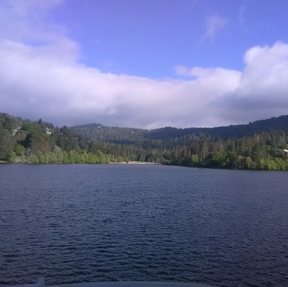 Meet your Posher, Krystle - Picture 4 of 16